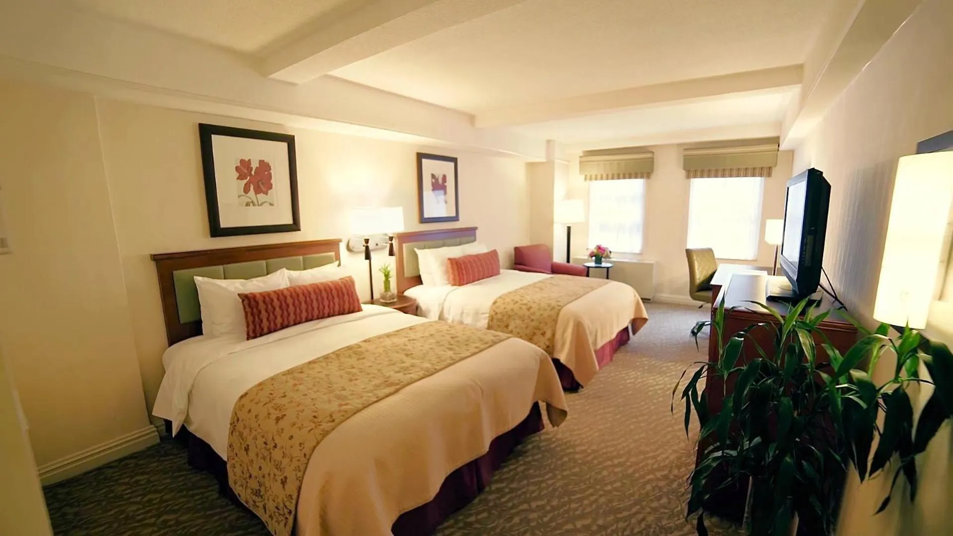San Carlos Hotel New York 4*,
