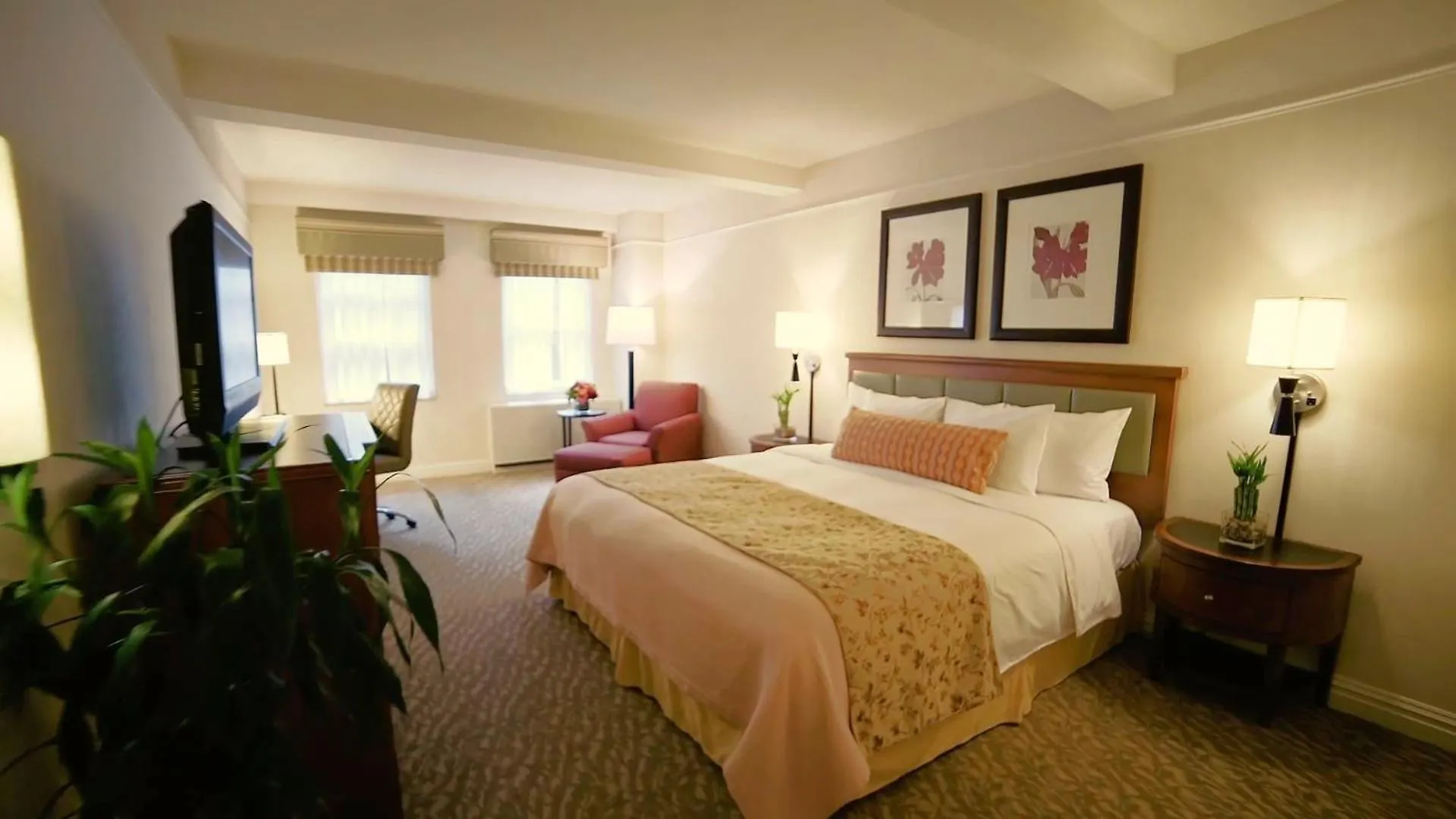 San Carlos Hotel Nueva York