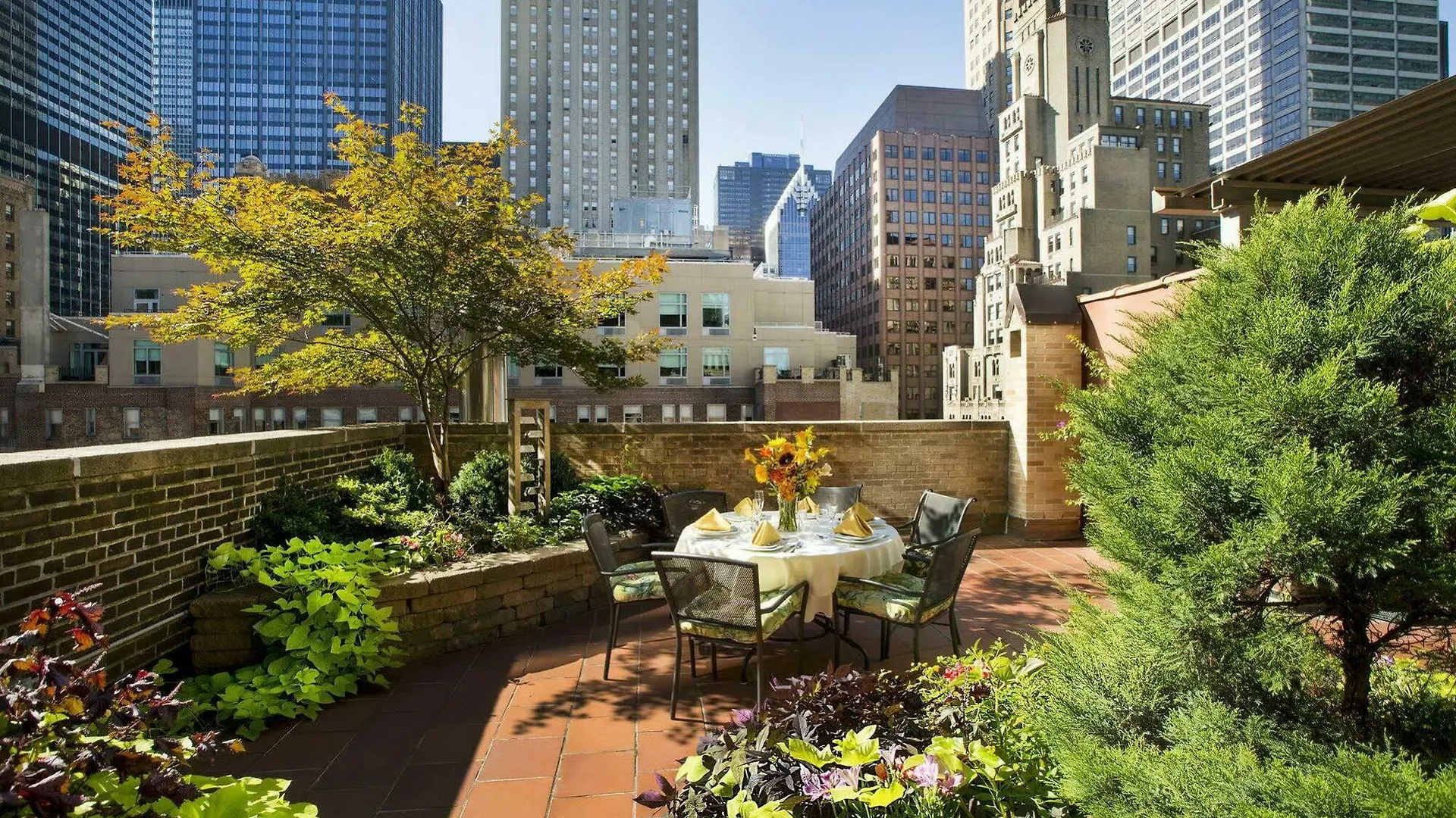 San Carlos Hotel New York